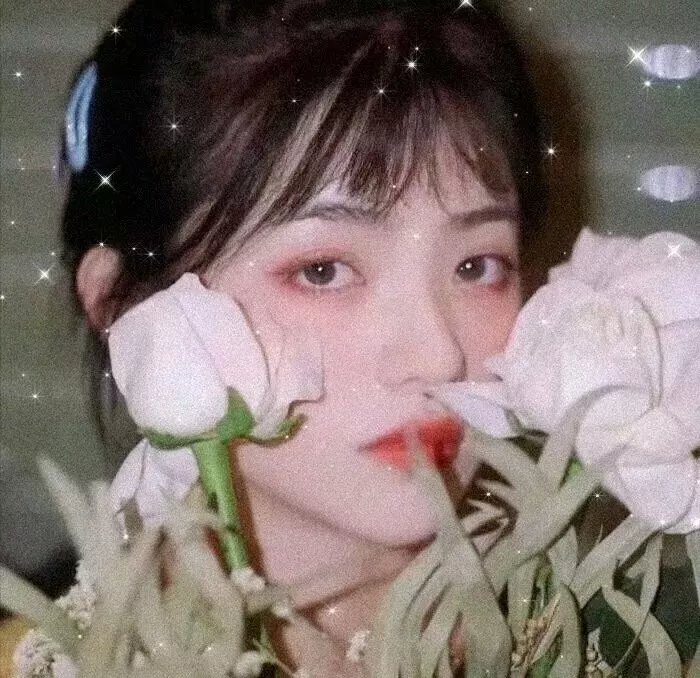 下辈子做你的女人