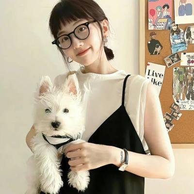 黑雀特工 海报